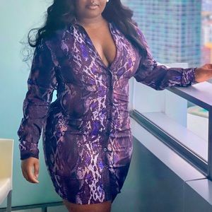 Brown Snake Print Ruched Waist Detail Plunge Shirt Dress